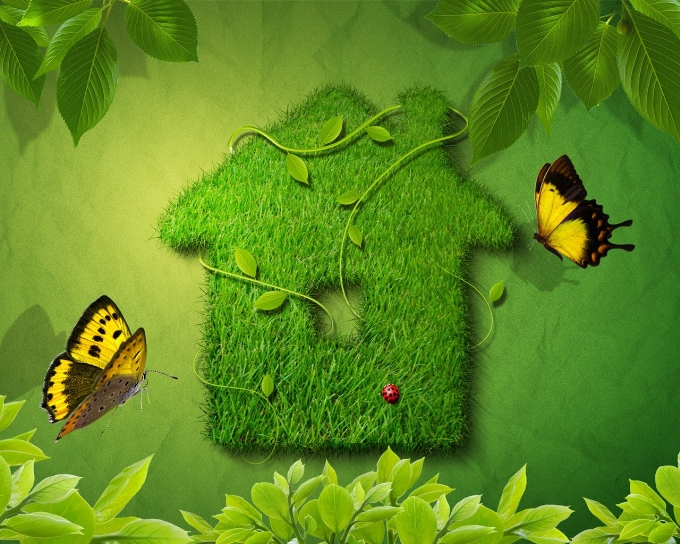 giới thiệu Hoàng Lâm